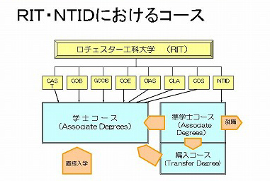 表：NTID・RITにおけるコース